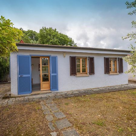 Casa Leccino Villa Riparbella Eksteriør bilde