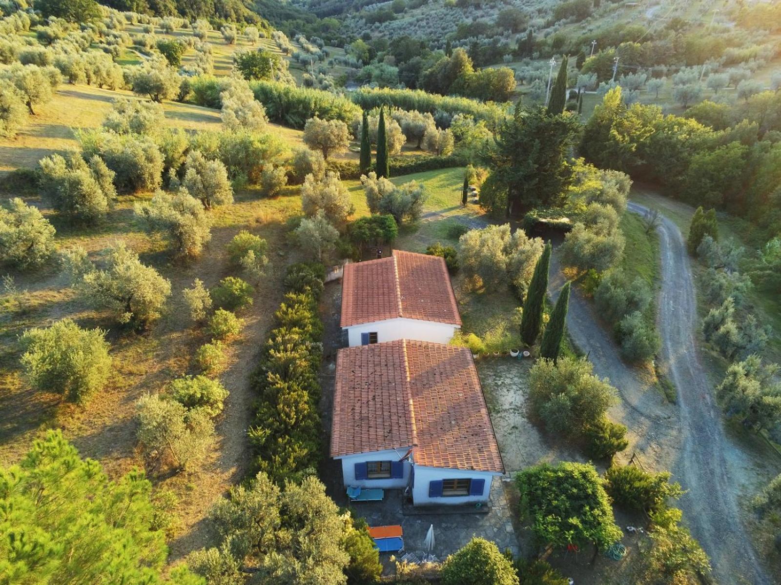 Casa Leccino Villa Riparbella Eksteriør bilde