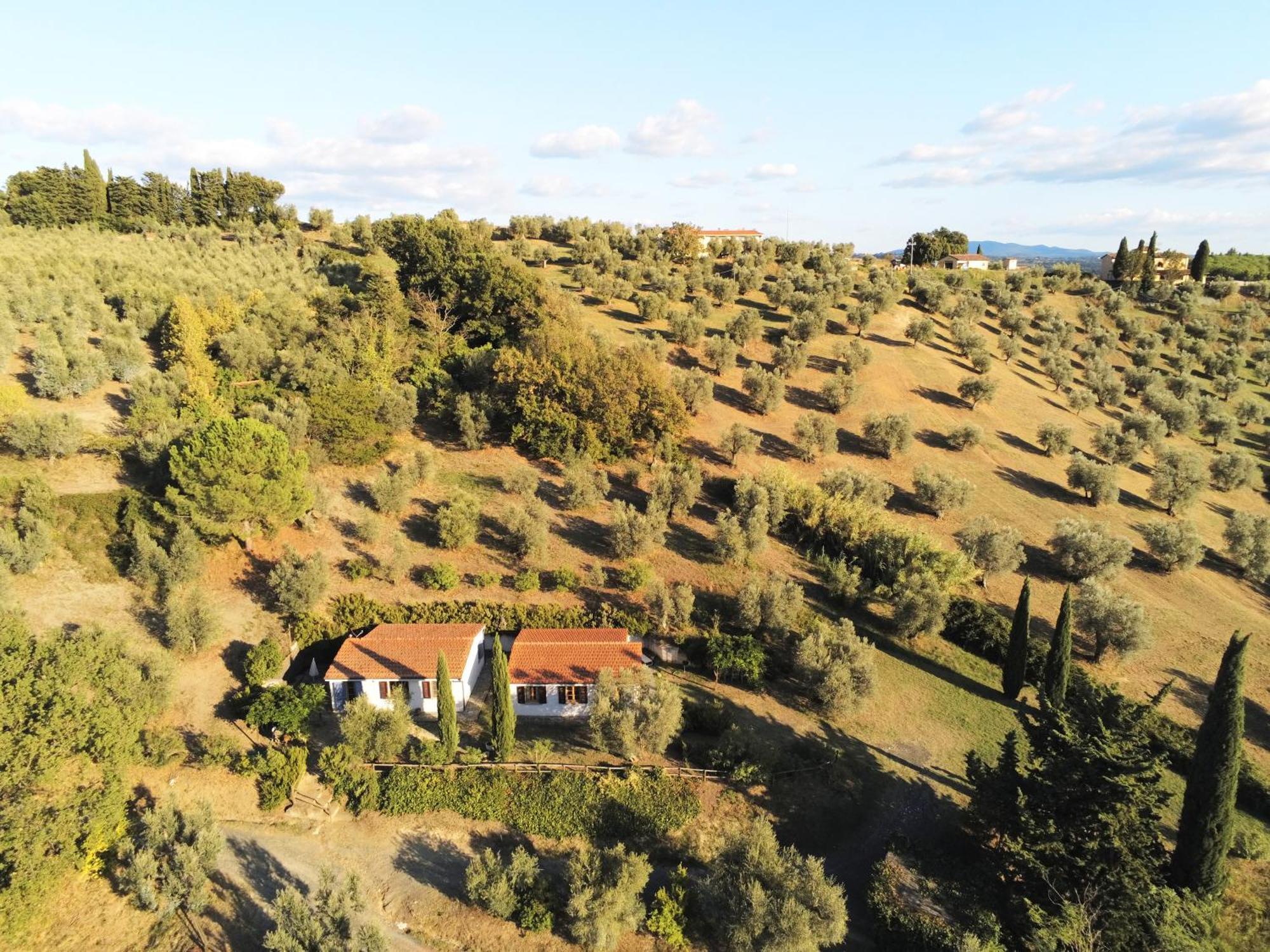 Casa Leccino Villa Riparbella Eksteriør bilde