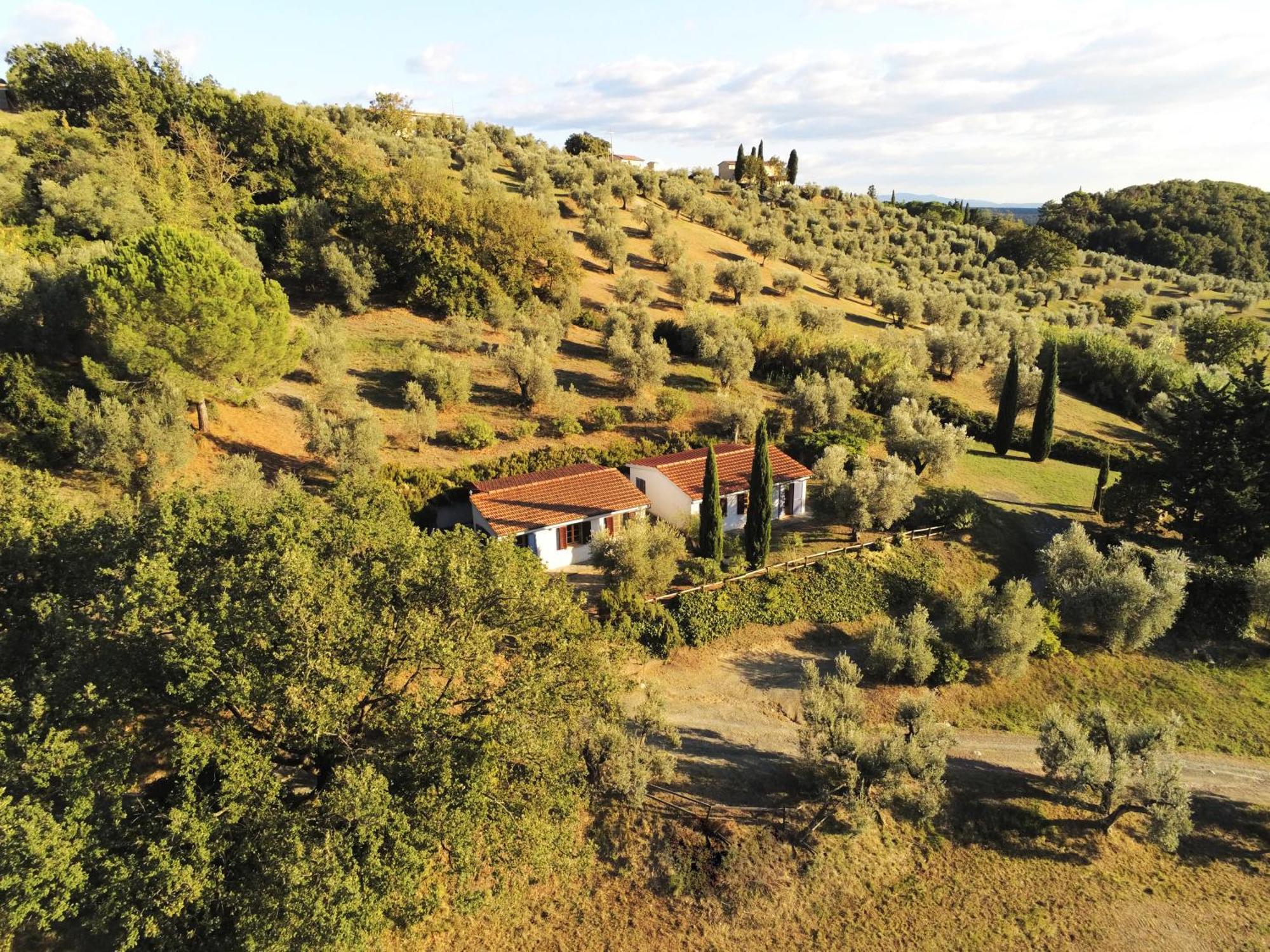 Casa Leccino Villa Riparbella Eksteriør bilde